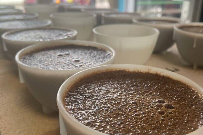 2-Hour Specialty Coffee tasting in Ljubljana - Key highlights you’ll care about