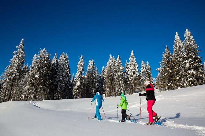 3-Hour Guided Snowshoeing Adventure in the Slovenian Alps - Snowshoeing from Bled: What This Winter Walk Is Really Like