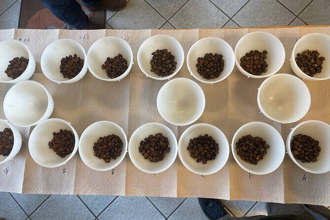 Barista Skills Foundation Course in Ljubljana - What’s Included (and What You Should Plan for)