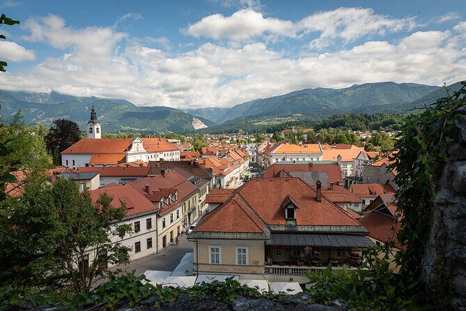 BEER WAY Kamnik Beer Tasting & Brewery Tour - Food, pace, and the guide factor: why questions are part of the fun