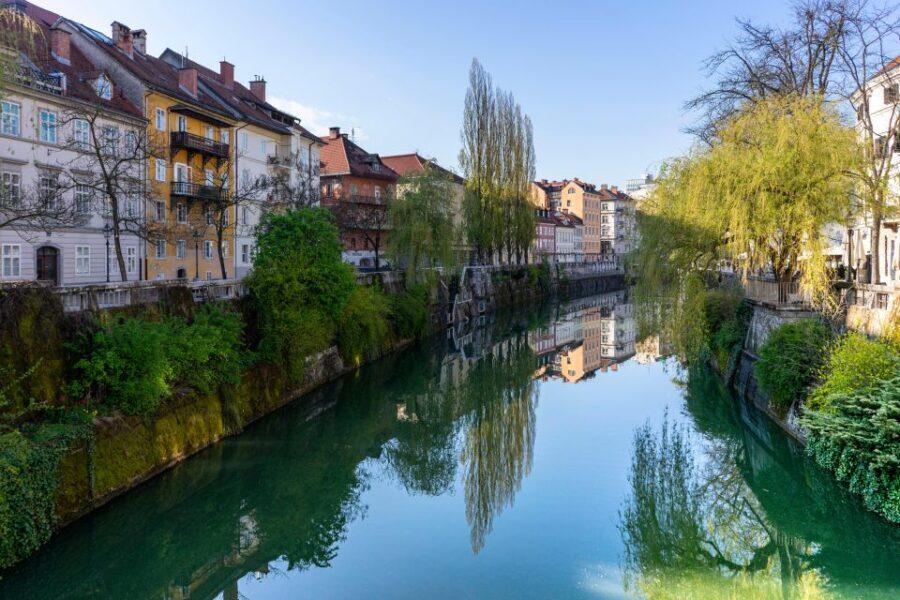 Best of Ljubljana: Private tour with Ljubljana born guide - Who this tour suits best