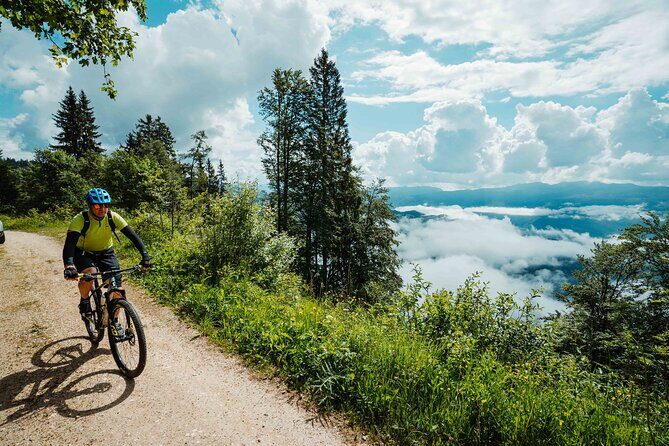 Bike Slovenia Green: Alps to Adriatic 8 days cycling tour - Day 5: The karst world around Komen, Štanjel, and Ferrari Garden views