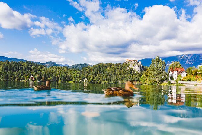 Bled & Bohinj lakes with Skofja Loka | Private trip from Ljubljana - Bled Castle (Blejski Grad): worth the ticket if you want viewpoints