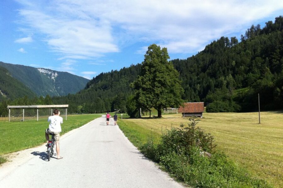 Bled: Mountain Bike Rental - What’s Actually Included (And Why That Matters on Day One)