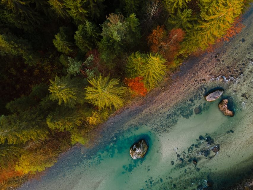 Bled: Sava River Kayaking Tour - Should you book the Bled Sava River Kayaking Tour?