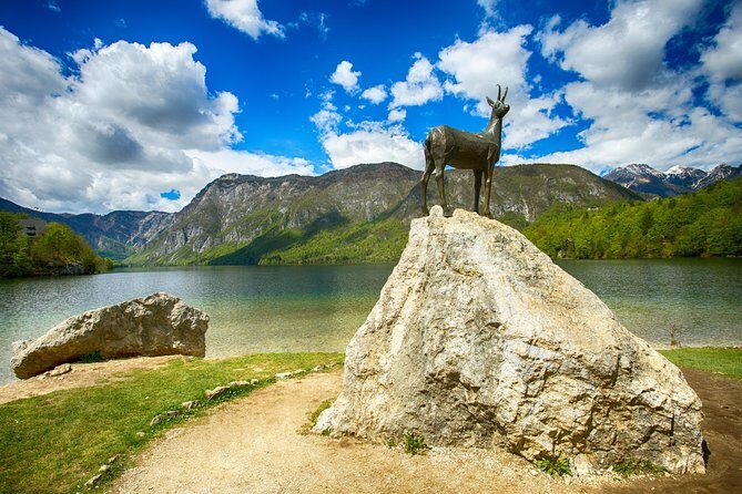 Bled to Lake Bohinj Trip - Pokljuka forests and the short gorge detour