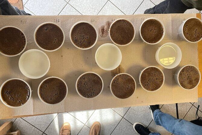 Coffee Sensory Training in Ljubljana - The Nose-and-Palate Skills You’ll Train During the 7 Hours