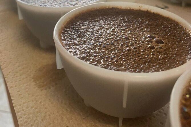 Coffee Sensory Training in Ljubljana - Working Toward the CSP Sensory Skills Foundation Certificate