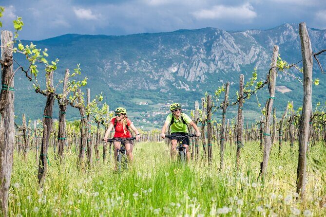 E-Bike Rental in South-West Slovenia - Why Vipava Valley E-biking feels so good