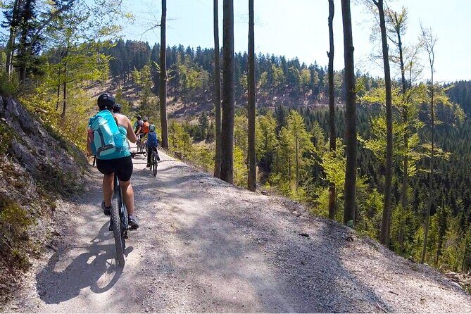 E-bike tour Škofja Loka - Mount Blegoš: the main viewpoint break and the optional 20-minute hike