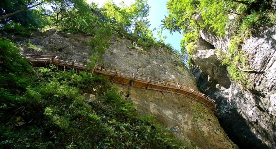 From Bled: Half-Day Pokljuka Gorge Trail Hike (Private) - Triglav National Park, minus the usual Bled traffic