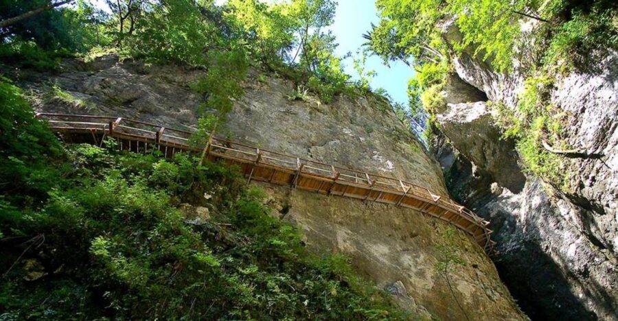 From Bled: Half-Day Pokljuka Gorge Trail Hike (Private) - What the private guide changes (and why it matters on short hikes)