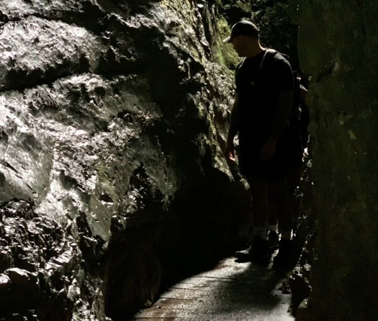 From Bled: Half-Day Pokljuka Gorge Trail Hike (Private) - Included value: what your $116 actually buys