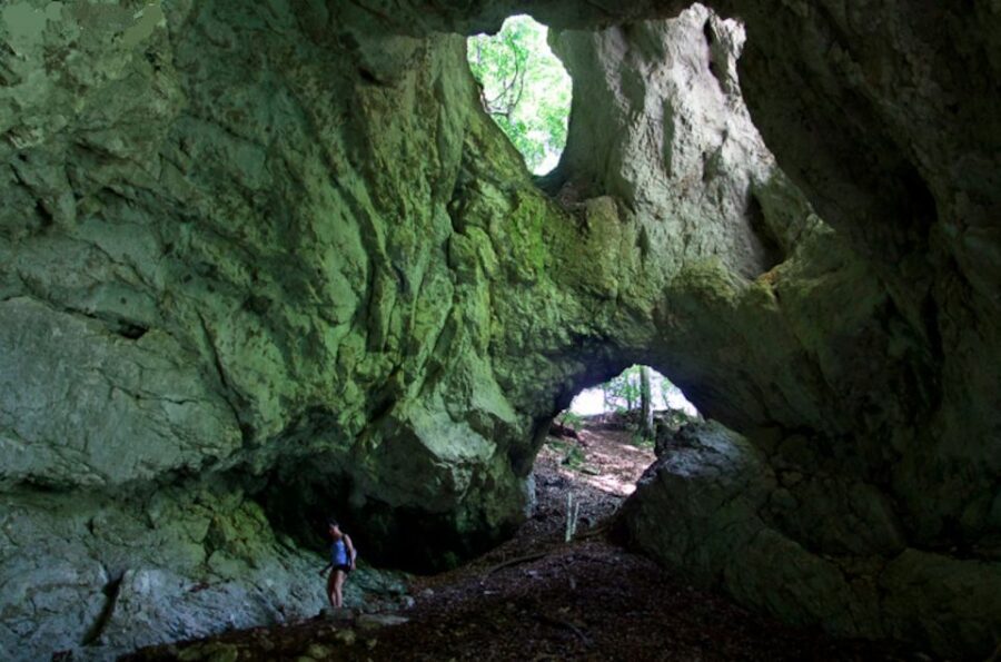 From Bled: Half-Day Pokljuka Gorge Trail Hike (Private) - The hike itself: secret passages, streams, and a mini-gorge mission