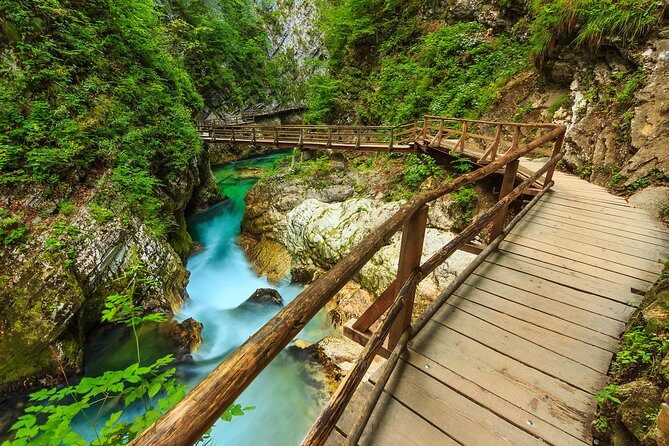 From Bled: Self-Guided E-Bike Tour to Vintgar Gorge - The e-bike portion: hills, safety, and scenic momentum
