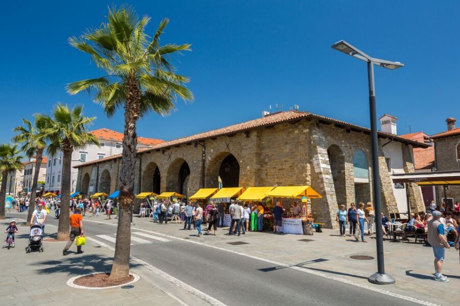 From Koper: Piran and Panoramic Slovenian Coast Tour - Piran’s Tartini Square: Music History You Can Walk Around