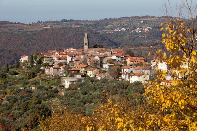 From Koper: Piran's Tastes and Tales - Padna’s Traditional Istrian Village Break (Meet Locals, Taste What’s Local)