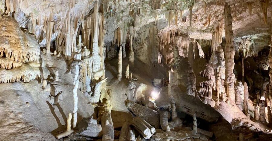 From Ljubljana: Postojna Cave Day Trip - Key points before you go