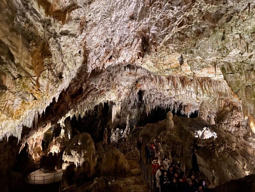 From Ljubljana: Postojna Cave Day Trip - Ljubljana to Postojna: the 8:30 AM start that actually works