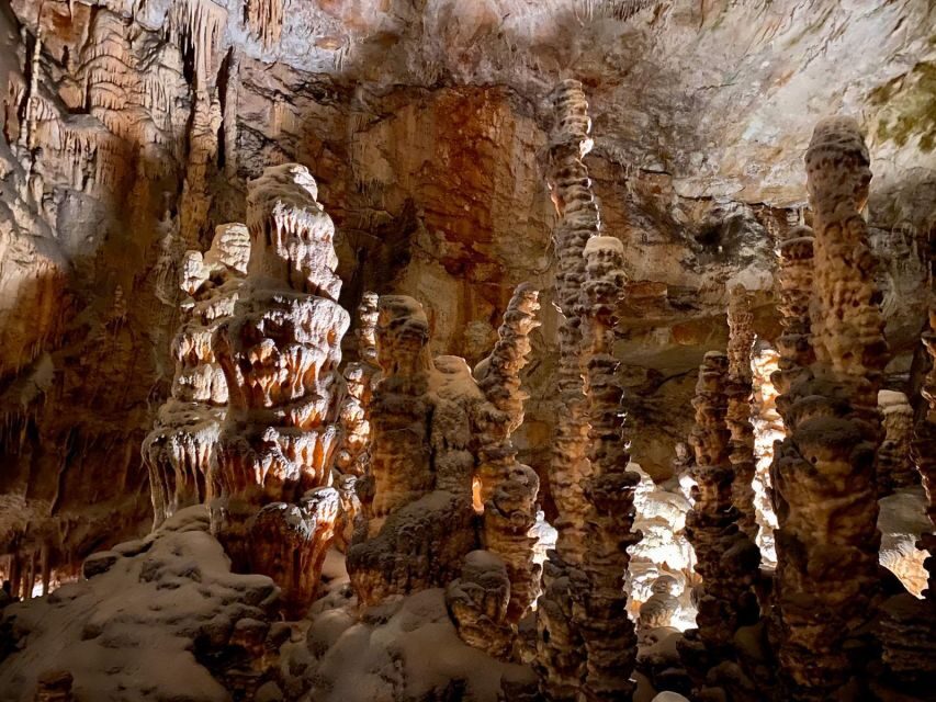From Ljubljana: Postojna Cave Day Trip - Entering Postojna Cave at 10:00: what the guided tour gives you
