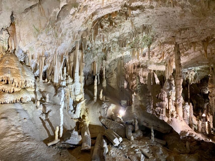 From Ljubljana: Postojna Cave Day Trip - What the guide tells you about Slovenia underground