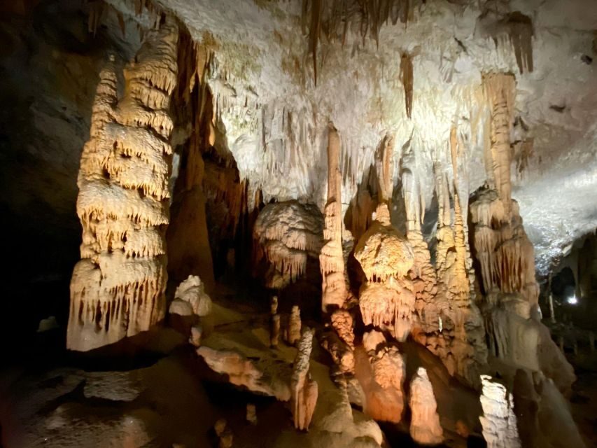 From Ljubljana: Postojna Cave Day Trip - The end moment: olms and the reason people remember this stop