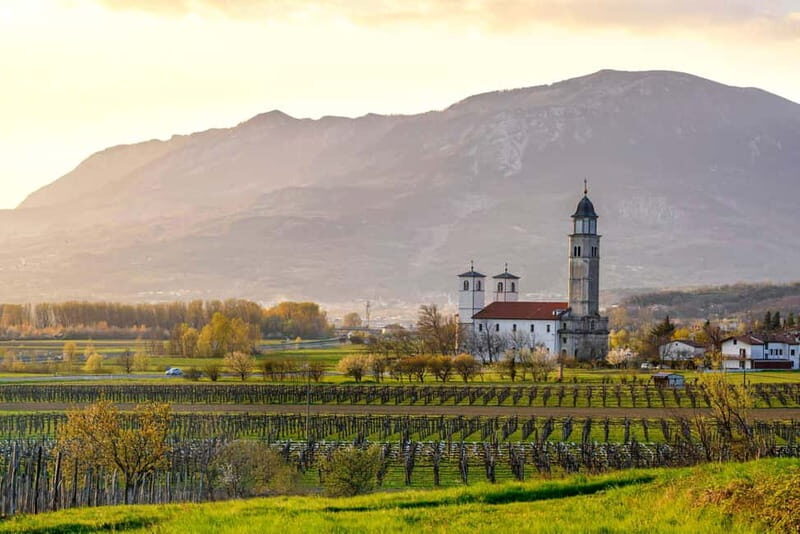 From Ljubljana: Vipava Valley Wine Express Tour - The guide experience: where the day goes from OK to memorable