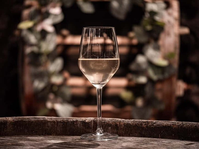 From Ljubljana: Vipava Valley Wine Express Tour - Winery stop #2: a second authentic tasting with a different vibe