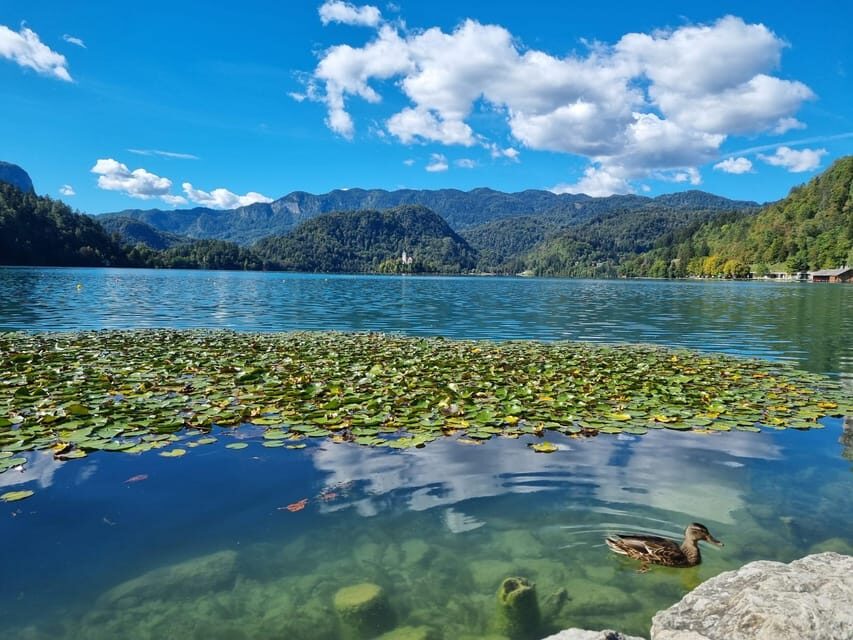 From Zagreb: Highlights Day Tour to Bled and Ljubljana - From Zagreb to Lake Bled: the morning that sets the tone