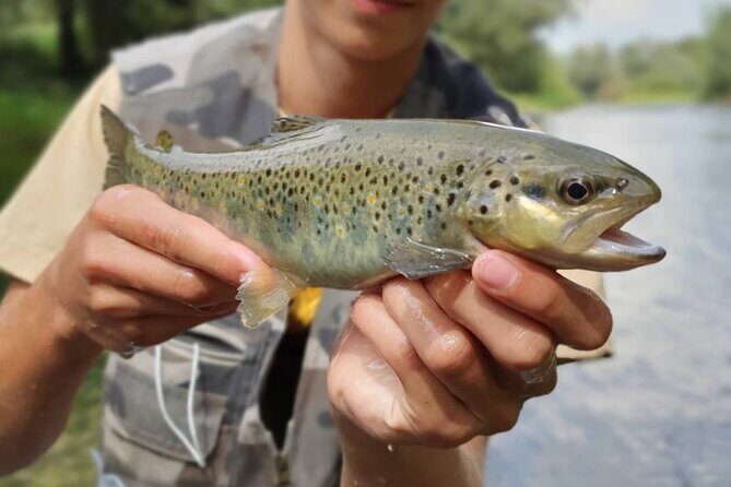 Full Day Private Guided Fishing Charter along the Isonzo Front - Your private day with Gusti: tactics, river-reading, and patience