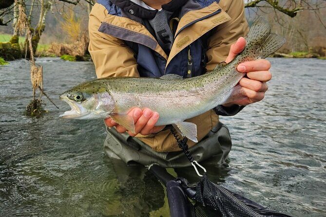 Full Day Private Guided Fishing Charter along the Isonzo Front - Price and value: what $324.43 per person buys you