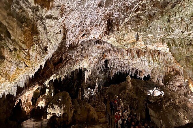 Full-day tour of Postojna Cave and Bled Lake From Ljubljana - Practical Timing Tips for a Smooth Day