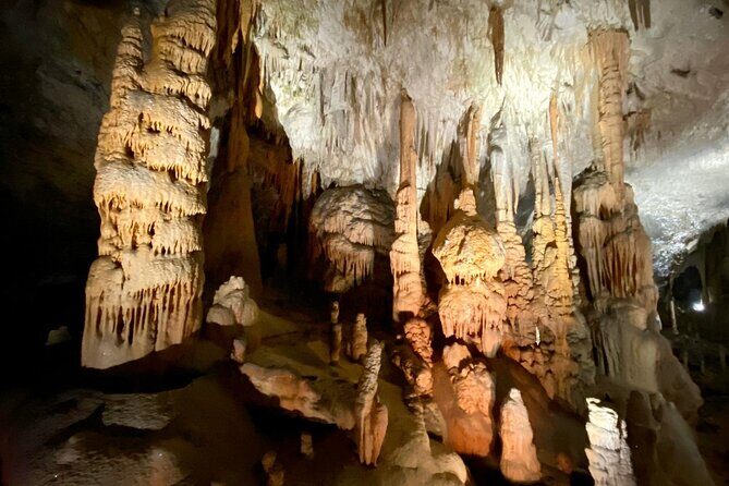 Full-day tour of Postojna Cave and Bled Lake From Ljubljana - Postojna Cave: Toy Train Magic and the Human Fish Encounter