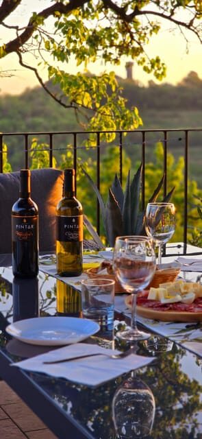 Goriška Brda: Wine Walk and Tasting - The value question: is $47 a good deal for two hours?