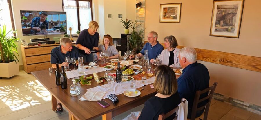 Goriška Brda: Wine Walk and Tasting - Your guided start: vine life cycle, vineyard tasks, and the local mindset