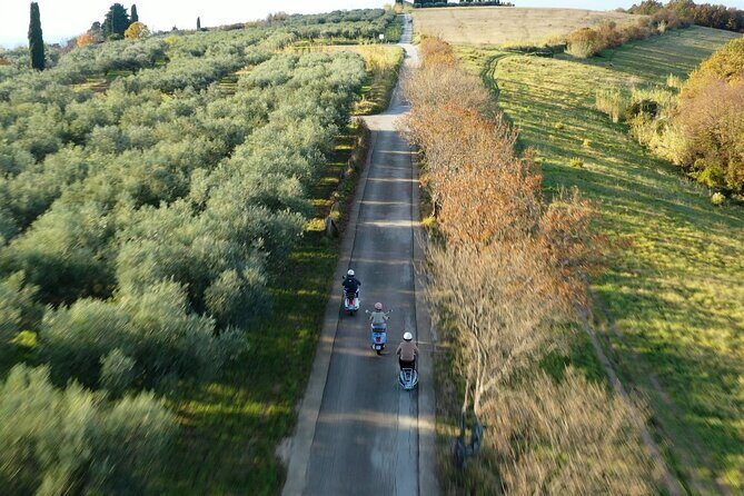 Half Day Vespa Countryside Tour and Tastings in Istria - A half-day Vespa loop from Piran that feels like real Istria