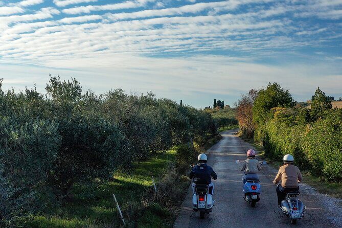 Half Day Vespa Countryside Tour and Tastings in Istria - Padna: olive groves, a working farmer visit, and lunch at a konoba