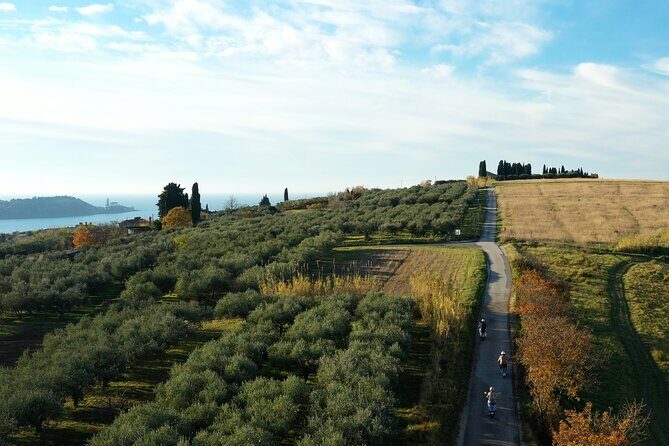 Half Day Vespa Countryside Tour and Tastings in Istria - Strunjan Nature Reserve on the return: coast views with Croatia and Italy in sight