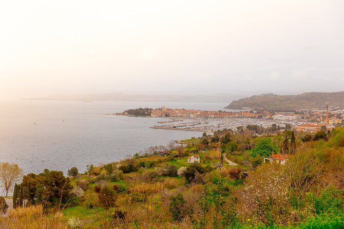 Hop & Taste Slovenian Riviera Hop-On Hop-Off & Local Bites - Key points to know before you go