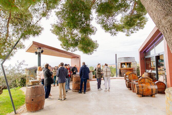 Hop & Taste Slovenian Riviera Hop-On Hop-Off & Local Bites - Free Time in Koper: Use It for the Things You’ll Actually Remember