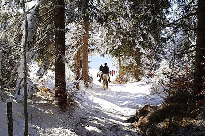 Horse Riding in Bled - From Mamut Office To the Farm: Getting Set Up in Bled