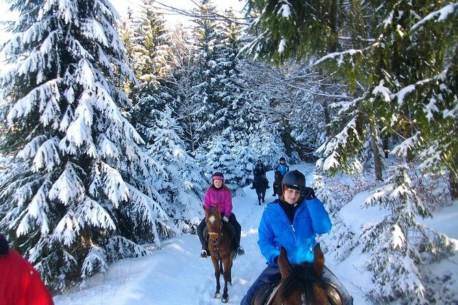 Horse Riding in Bled - The Manege Test: How They Match You to the Right Horse and Trail
