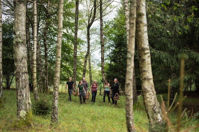 It Smells Like Mushrooms - Meet Bojan and Anja: Mycology in the Soča Valley