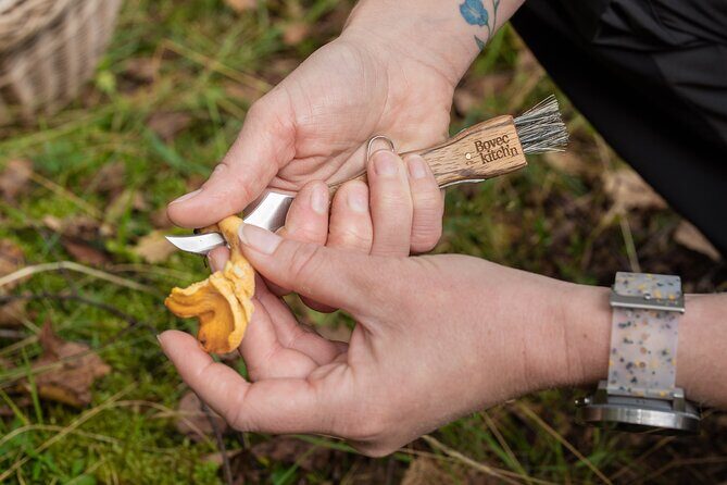 It Smells Like Mushrooms - The reality check: weather and how it affects your day