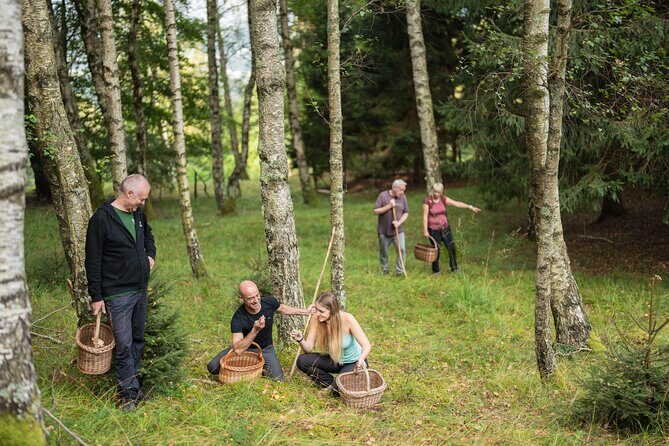 It Smells Like Mushrooms - Back at Bovec kitch’n: cleaning, preparing, and storing what you found
