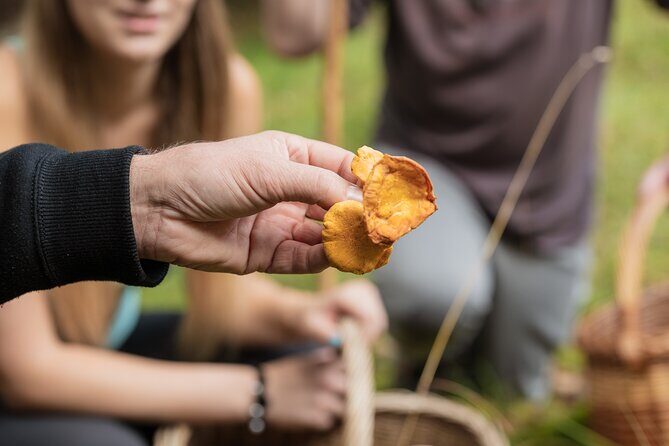 It Smells Like Mushrooms - Snacks, lunch, and the digital recipe booklet you keep
