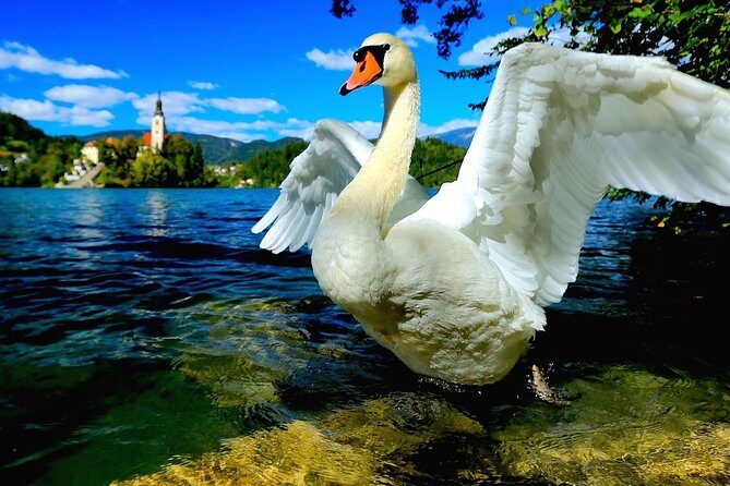 Lake Bled Half Day Excursion from Ljubljana - Kremšnita Time: Why the Cream Cake Break Is Worth Planning For
