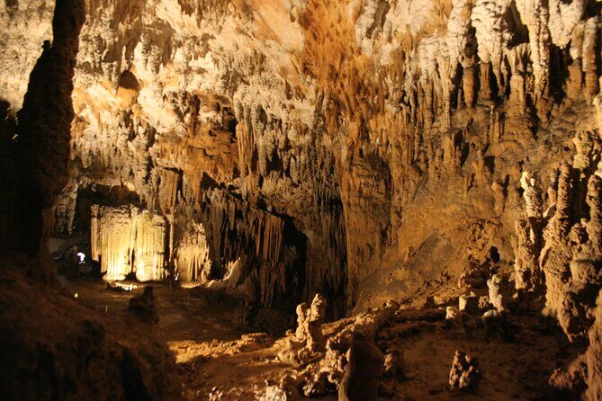 Lipica Stud Farm and Skocjan Caves from Koper - Walking from Lipica to Škocjan: why the pace matters