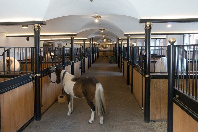 Lipica Stud Farm and Skocjan Caves from Koper - What the guide adds (and what you should expect)