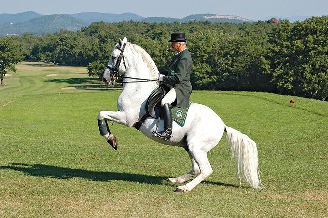 Lipica Stud Farm- Private Experience from Koper - The return drive through Trieste: a quick history lesson on the way back